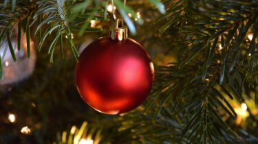 Christmas Draw Image - Christmas Tree with Barbells Image